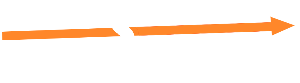 Success Skills International (SSI)